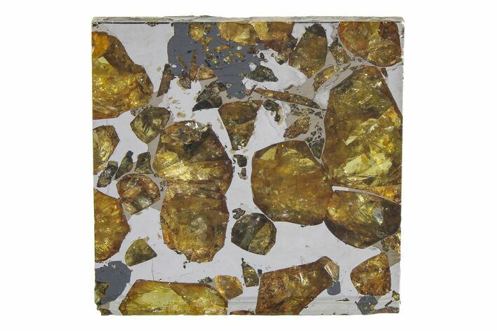 Brahin Pallasite Meteorite ( g) Slice - Belarus #351939